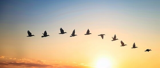 Spring Migration - Birds flying in a V-formation against a clear dawn sky, signaling the return of migratory species in March.  - obrazy, fototapety, plakaty