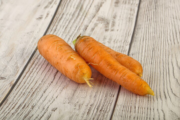Yoiung natural organic carrot heap