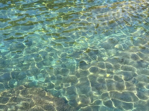 Crystal clear sea water with algae at the seabed