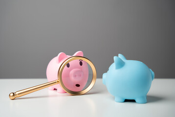 Piggy bank and magnifying glass. Consideration of money saving strategies. Study terms and conditions on deposit. Investigating capital origins. Transparency and accountability. - obrazy, fototapety, plakaty