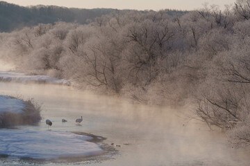 樹氷とタンチョウ