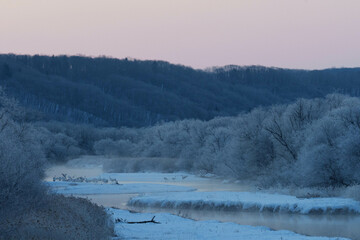 樹氷とタンチョウ