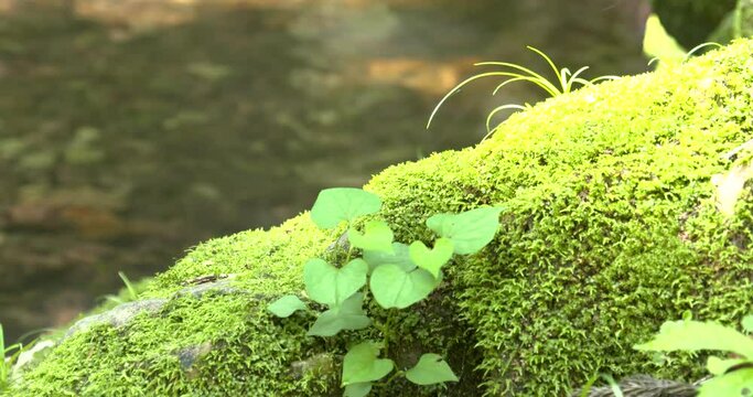 西会津の風景 b_12