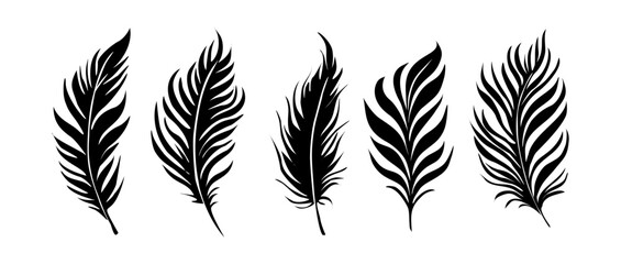 Bird Feathers vector silhouettes illustration. Black Icons, logo, symbol isolated on transparent background. Quill pen for ink drawing, calligraphy art. Bird feathers for writing. Retro tools