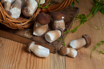 Obraz na płótnie Canvas Pile of wild porcini mushrooms on wooden background at autumn season..