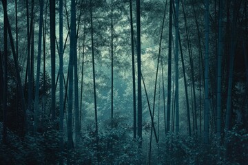 Obraz premium Organic Elegance Dark Teal Bamboo Grove in Velvia Tones with Lo-Fi Aesthetics - Architectural and Natural Harmony