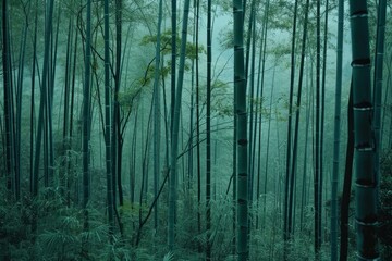 Obraz premium Mystic Bamboo Grove Enigmatic Teal and Verdant Hues with Organic Textures in a Lo-Fi Velvia-Inspired Ambiance