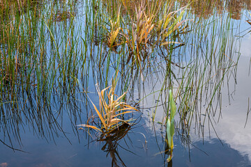 View of the Big Winter Pool after heavy rains in January 2024, Herzliya Park, Herzliya city, Israel 