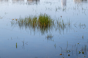 View of the Big Winter Pool after heavy rains in January 2024, Herzliya Park, Herzliya city, Israel 