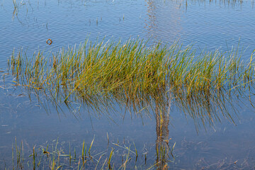 View of the Big Winter Pool after heavy rains in January 2024, Herzliya Park, Herzliya city, Israel 