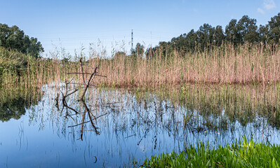 View of the Big Winter Pool after heavy rains in January 2024, Herzliya Park, Herzliya city, Israel 