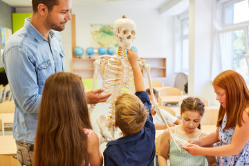 Students examining human skeleton in class