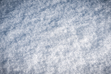 Fresh winter snow texture