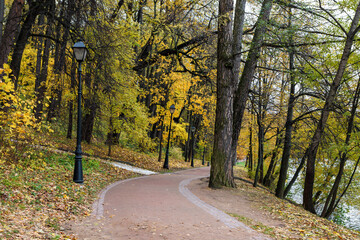Obraz premium Autumn alley in the park. View of the autumn park.
