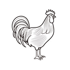 Fototapeta na wymiar Chicken Rooster Egg Vector