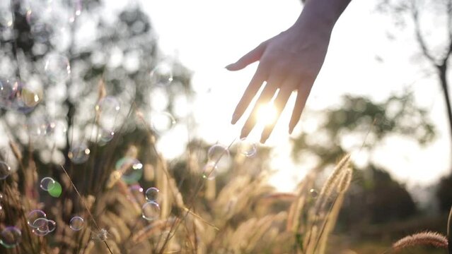 Hand and Bubble in Sawanna Field on Sun Set