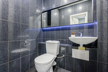 interior apartment room bathroom, sink, decorative elements, toilet. WC, sanitary unit, wash room