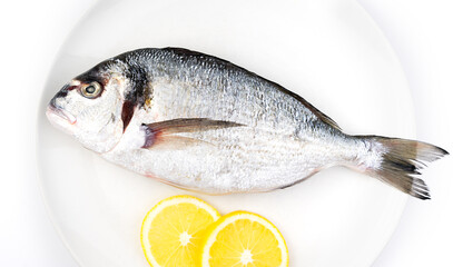 Fresh fish Dorado with lemon on the white plate. Top view.
