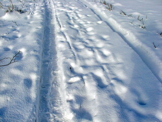 An inexhaustible number of shades of white appearing on the fluffy snow carpet under the rays of the bright frosty sun.