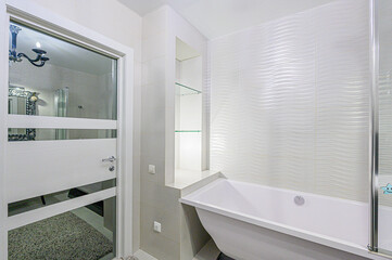 interior apartment room bathroom, sink, decorative elements, toilet. WC, sanitary unit, wash room