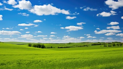 Obraz premium agriculture farm blue sky