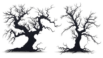 Dead trees silhouette. Old dry oak crown without leafs isolated on white background