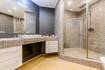 interior apartment room bathroom, sink, decorative elements, toilet. WC, sanitary unit, wash room