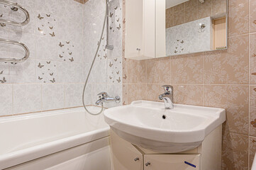 interior apartment room bathroom, sink, decorative elements, toilet. WC, sanitary unit, wash room