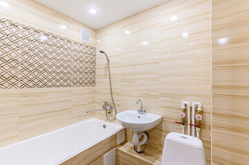 interior apartment room bathroom, sink, decorative elements, toilet. WC, sanitary unit, wash room