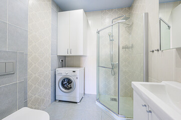 interior apartment room bathroom, sink, decorative elements, toilet. WC, sanitary unit, wash room