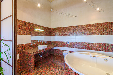 interior apartment room bathroom, sink, decorative elements, toilet. WC, sanitary unit, wash room