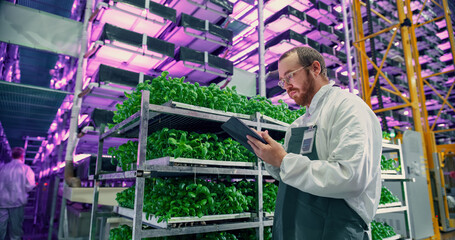 Agricultural Scientist Standing in a Hall in a Vertical Farm Production Space With Neon Light Next...