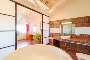 interior apartment room bathroom, sink, decorative elements, toilet. WC, sanitary unit, wash room