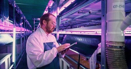 Portrait of Farming Technician Standing Next to a Row of Fresh Crops Growing at a Modern Vertical Farm With UV Lights. Horticulturist in Using Tablet Computer to Organize and Analyze Plant Information