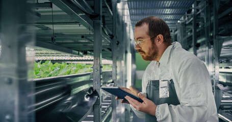 Portrait of a Biologist Analyzing Fresh Crops at a Modern Vertical Farm Facility. Agricultural Engineer Working on a Tablet Computer, Improving and Optimizing Hydroponics System and Technologies