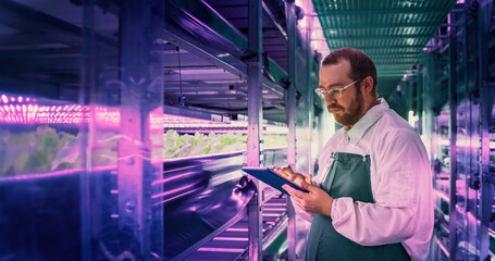 Biology Scientist Working in Vertical Farm Facility Next to Rack with Natural Eco Plants. Farming Engineer Using a Tablet Computer, Organizing and Analyzing Crops Information Before Distribution
