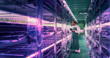 Young Farmer Working in a Vertical Farm Facility with Ultraviolet LED Lights. Hydroponics...