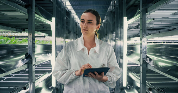 Biology Scientist Working in a Vertical Farm Next to Rack with Natural Eco Plants. Female Farming Engineer Using a Tablet Computer, Organizing and Analyzing Crops Information Before Distribution