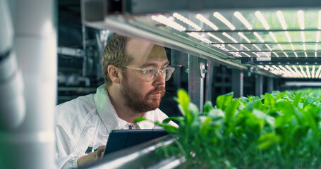 Portrait of Agricultural Grower Working in a Corridor in Vertical Farm Facility Next to a Rack with...