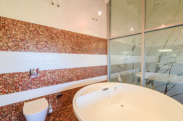 interior apartment room bathroom, sink, decorative elements, toilet. WC, sanitary unit, wash room