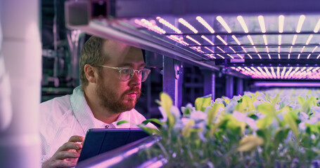 Hydroponics Engineer Inspecting and Analyzing Crops Growing Potential Before Selling. Portrait of...