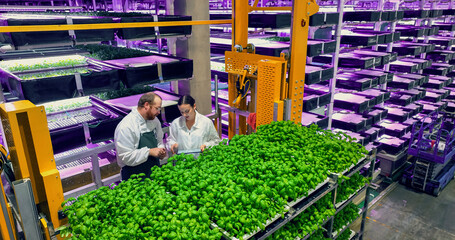 Vertical Plant Farm Specialists Talking on a Cargo Elevator with Fresh Basil Crops. Female and Male...
