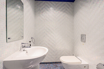 interior apartment room bathroom, sink, decorative elements, toilet. WC, sanitary unit, wash room