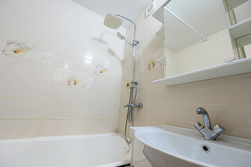 interior apartment room bathroom, sink, decorative elements, toilet. WC, sanitary unit, wash room