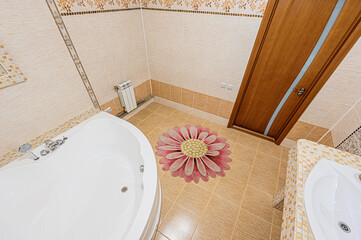 interior apartment room bathroom, sink, decorative elements, toilet. WC, sanitary unit, wash room
