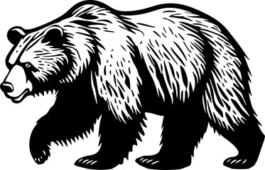 Bear Walking Illustration
