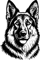 German Shepherd Dog Face Illustration