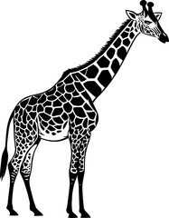 A giraffe standing illustration