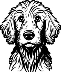 Golden Doodle Dog Breed Illustration