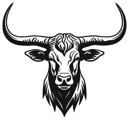 Texas Longhorn Steer Face Illustration
